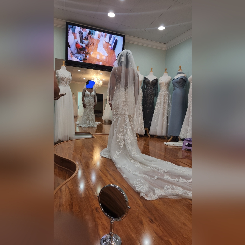 Elegant Ivory Lace Wedding Dress with Train